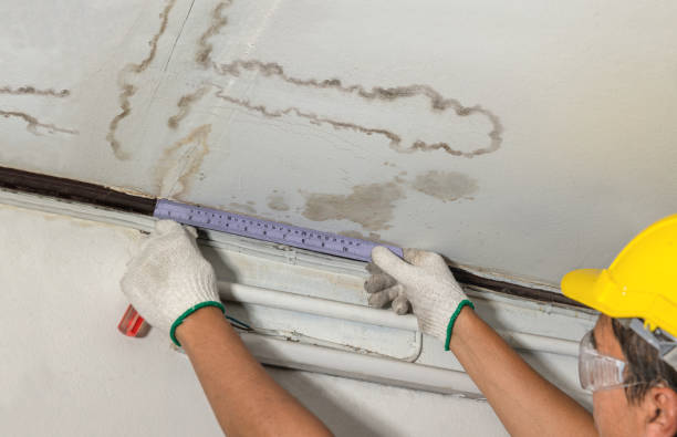 24/7 Emergency Structural Drying experts in Wheeler, MI