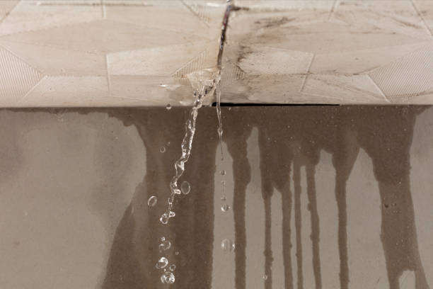Professional Structural Drying technician working in Wheeler, MI